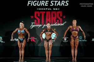 FIGURE STARS